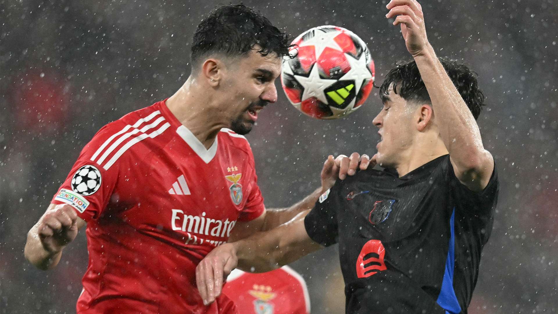 该得到保护 该得到保护