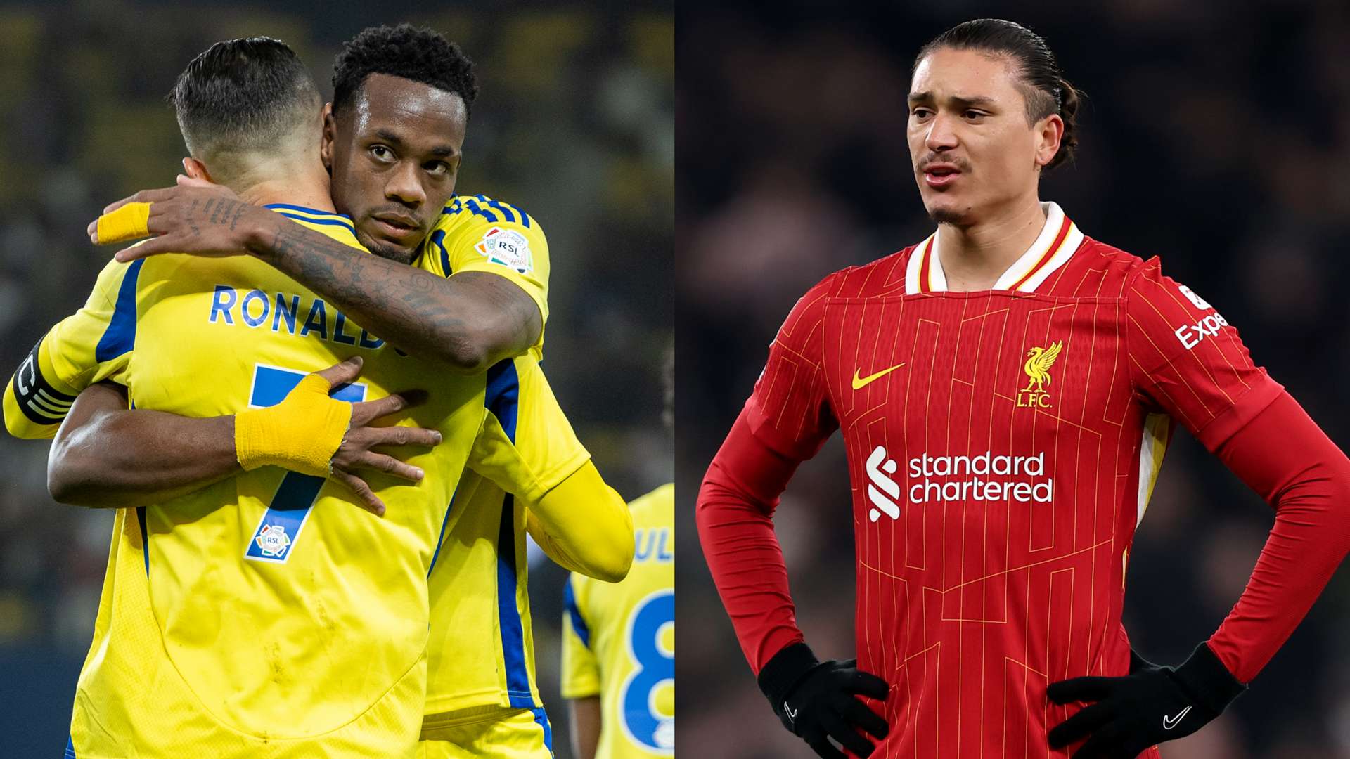 他們同時也 他們同時也